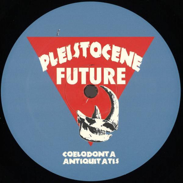 ARKVS - Pleistocene Future 5