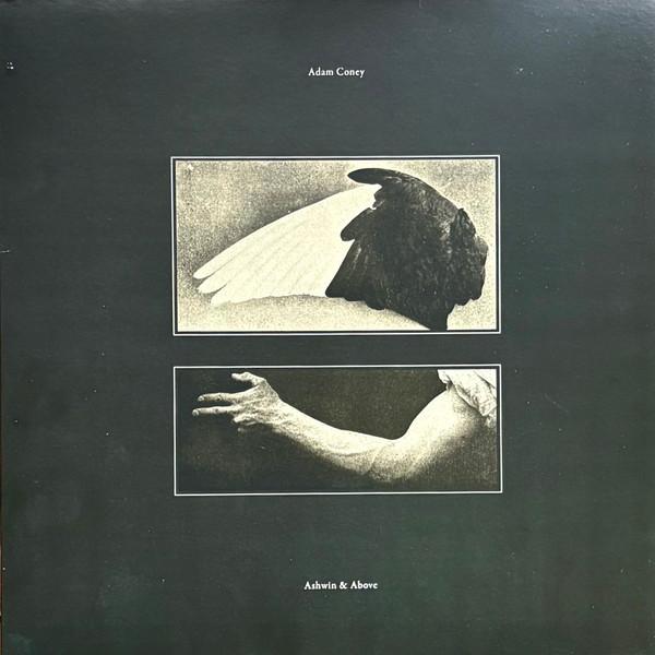 Adam Coney - Ashwin & Above