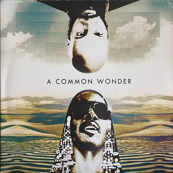 Amerigo Gazaway - A Common Wonder
