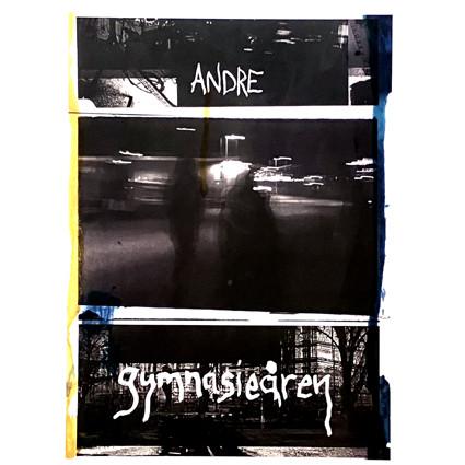 Andre (111) - Gymnasieåren