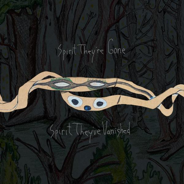 Animal Collective - Spirit They're Gone Spirit They've Vanished