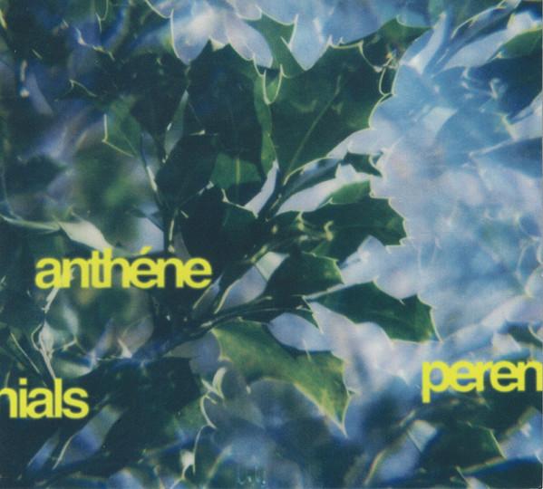 Anthéne - Perennials
