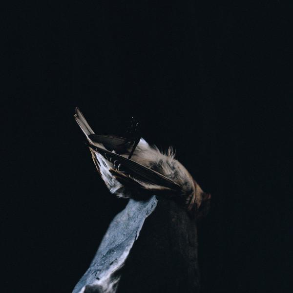  - Are We All Alone or Just Overwhelmed? (Collaboration EP)