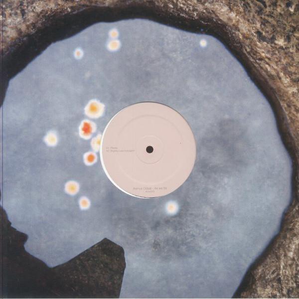 Asmus Odsat - As We Sit