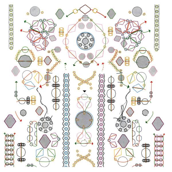 Bear Bones, Lay Low - Ideas Flotantes
