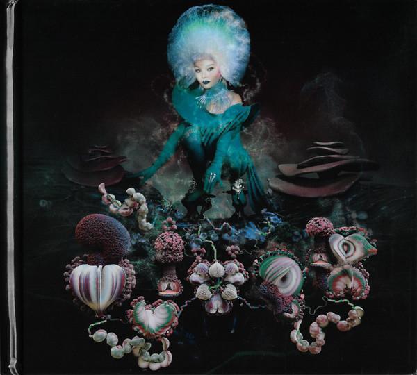 Björk - Fossora