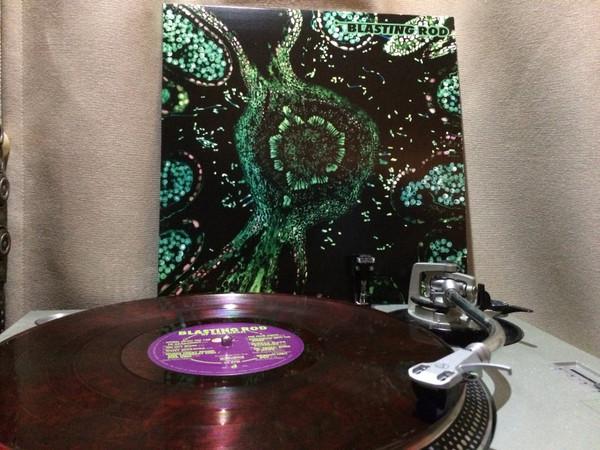 Blasting Rod - Of Wild Hazel