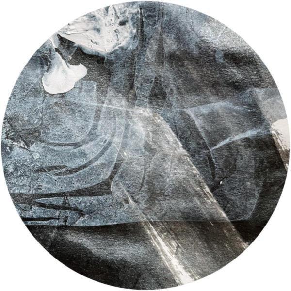 Casual Treatment - Comparative Anatomy EP