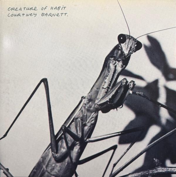 Courtney Barnett - Creature Of Habit