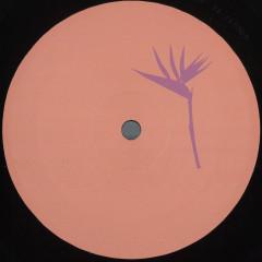 Daniel Meister - Lanao Izany EP