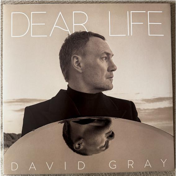 David Gray - Dear Life