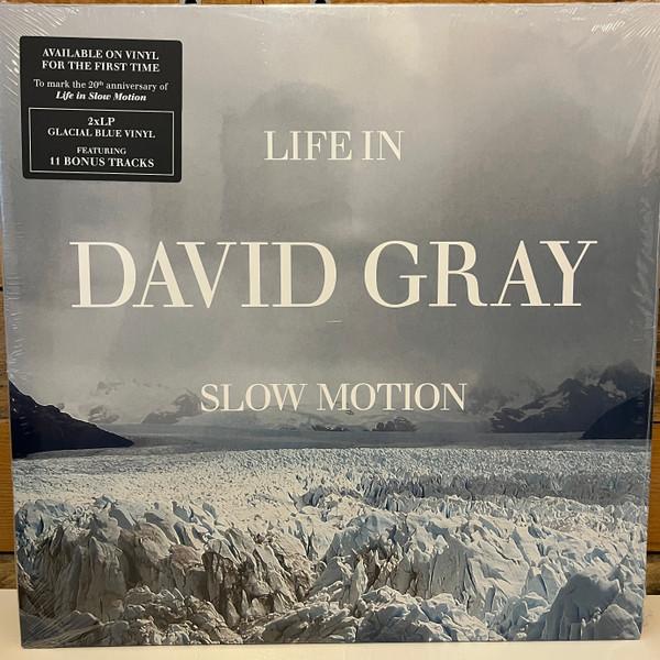 David Gray - Life In Slow Motion