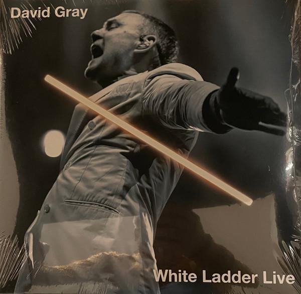 David Gray - White Ladder Live