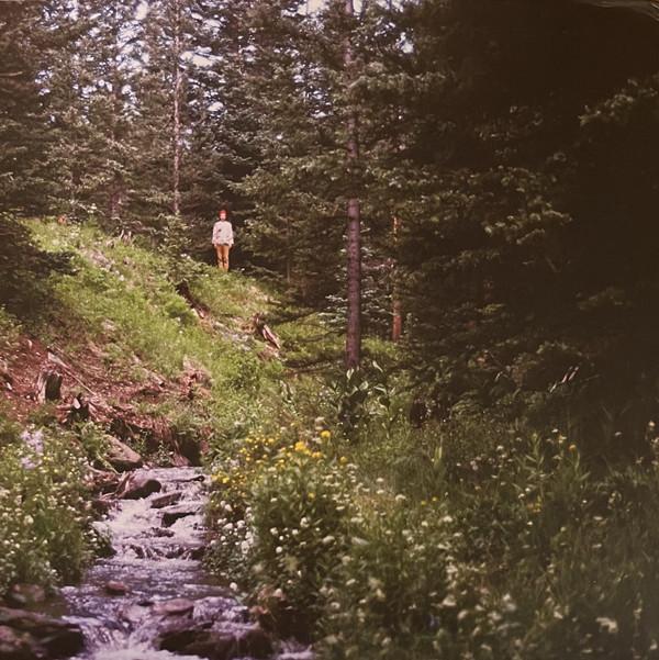 David Lord (7) - Forest Standards Vol. 3