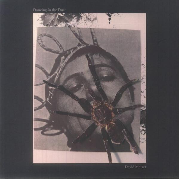 David Meiser - Dancing in the Dust