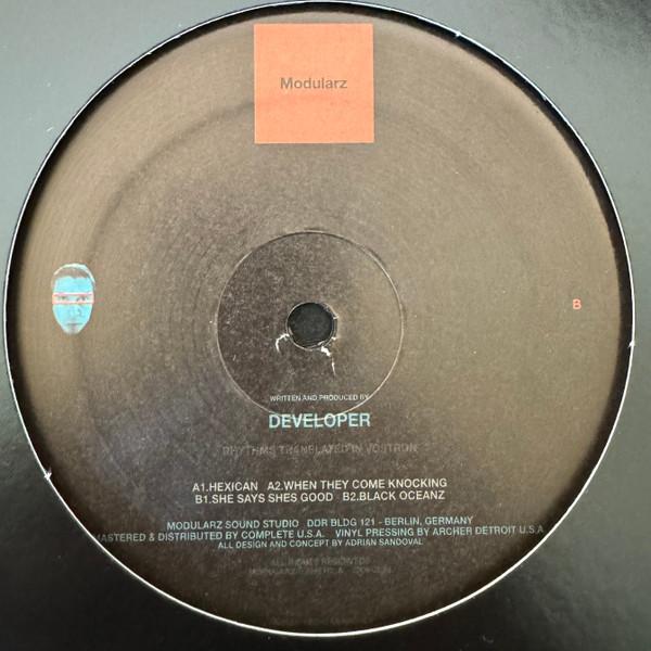 Developer - Rhythms Translated In Vostron