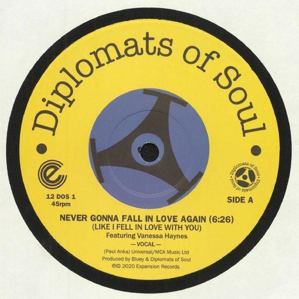 Diplomats Of Soul, Vanessa Haynes - Never Gonna Fall In Love Again (Like I Fell In Love With You)