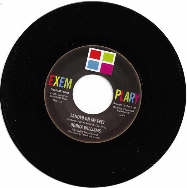 Donna Williams  - Landed On My Feet