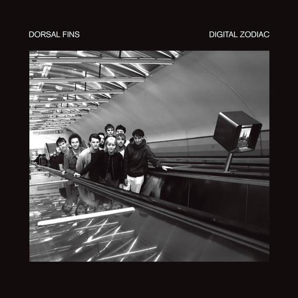 Dorsal Fins - Digital Zodiac