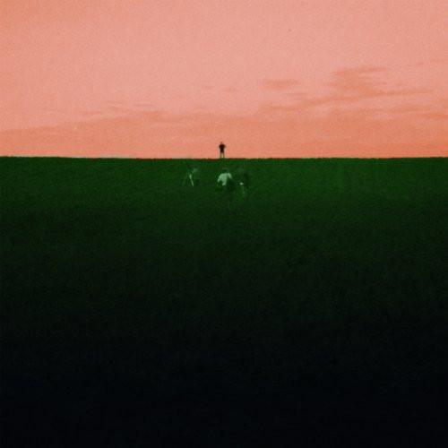 Dust Covered Carpet - Witness Me Pass Out