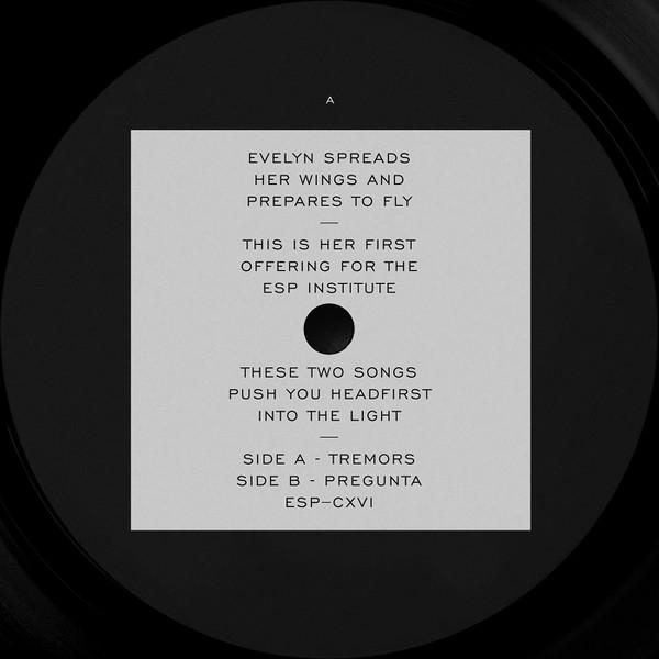 Evelyn - Tremors/ Pregunta
