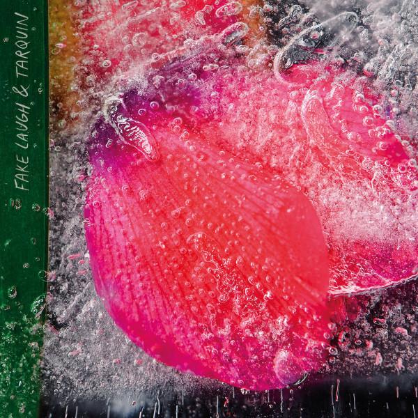 Fake Laugh, Tarquin (4) - Fake Laugh & Tarquin