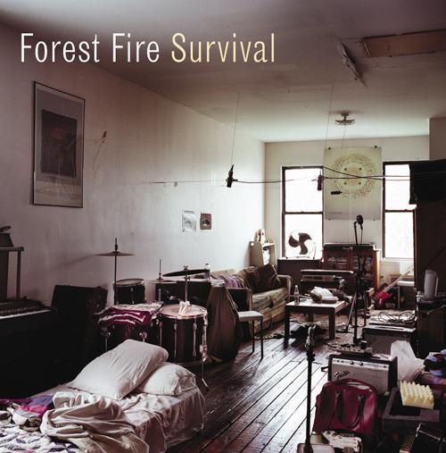 Forest Fire - Survival