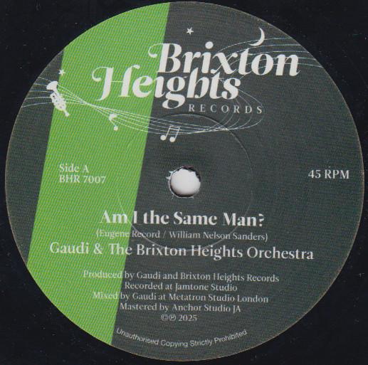 Gaudi - Am I The Same Man?