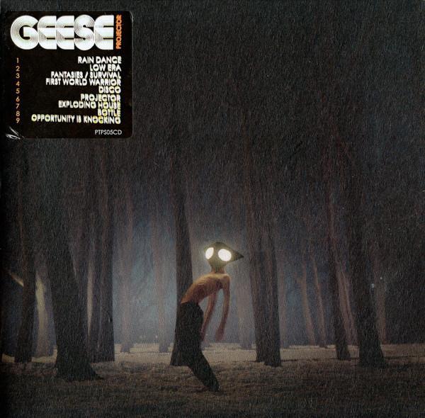 Geese (11) - Projector