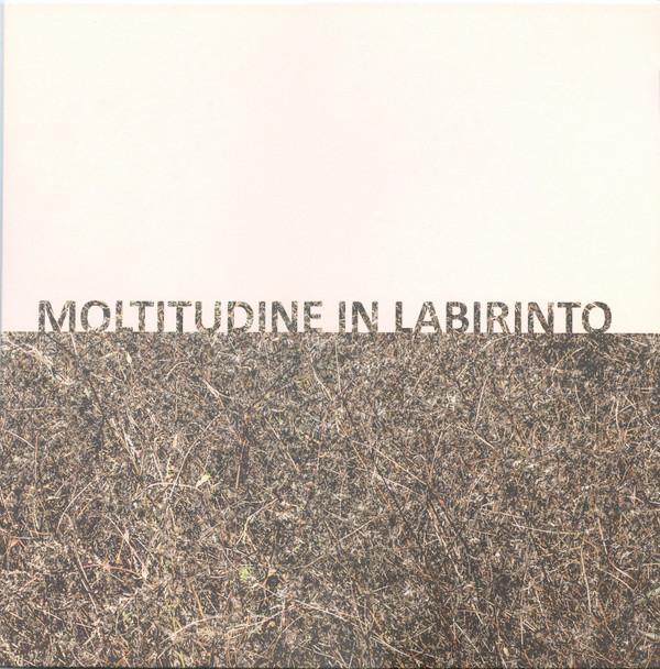 Giuseppe Caprioli, Gigi Masin - Moltitudine In Labirinto