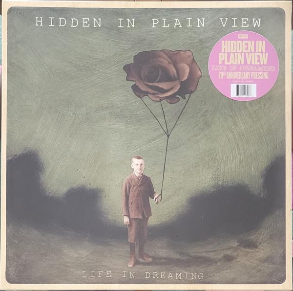 Hidden In Plain View - Life In Dreaming