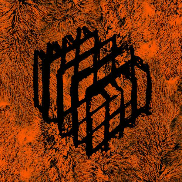 Hynom - Animals Are Built For Cages