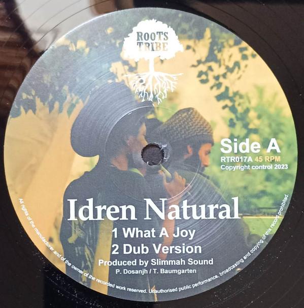Idren Natural, Kazam Davis - What A Joy / Haile Jah