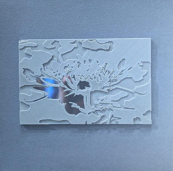 Ignez - SMV011