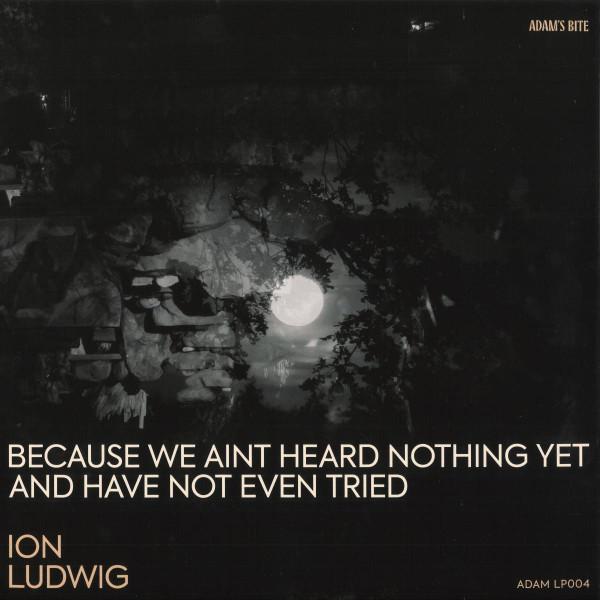 Ion Ludwig - Because We Aint Heard Nothing Yet And Have Not Even Tried