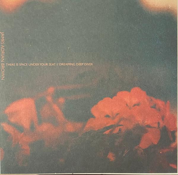 James Adrian Brown - There Is Space Under Your Seat