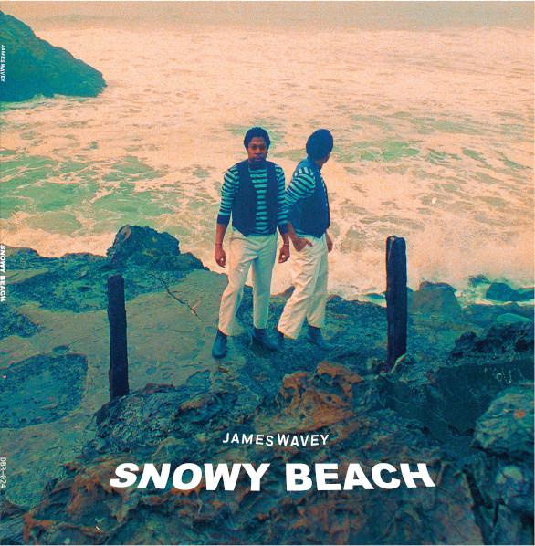 James Wavey - Snowy Beach