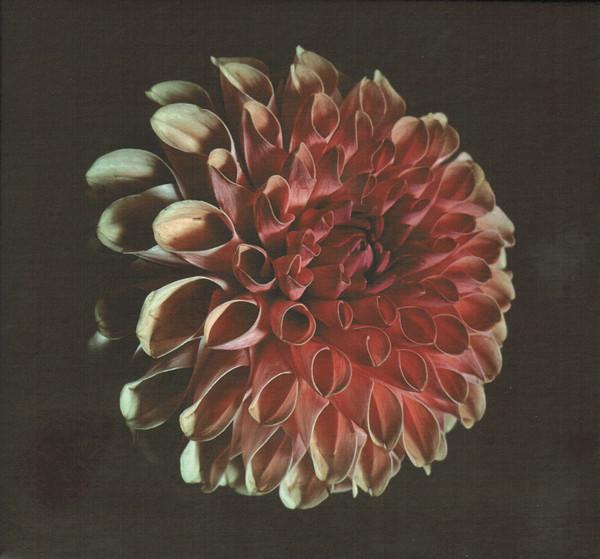Jessica Moss - Unfolding