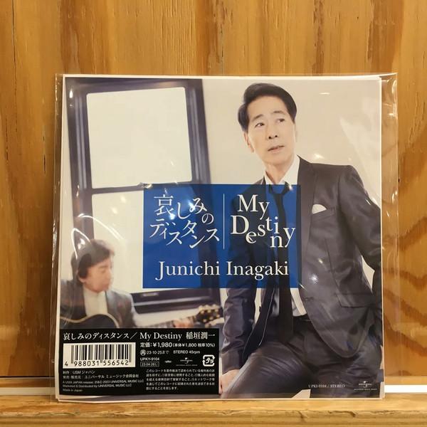 Junichi Inagaki - 哀しみのディスタンス