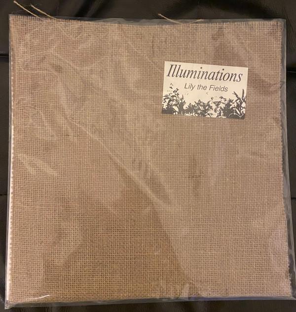 Lily The Fields - Illuminations