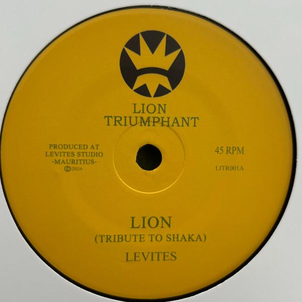  - Lion (Tribute to Shaka)