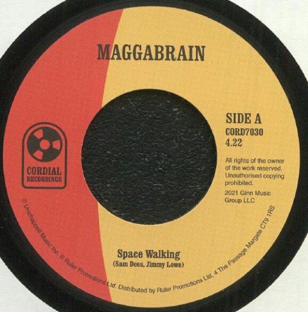 Maggabrain - Space Walking