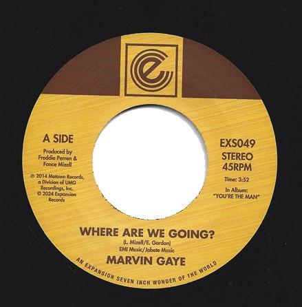 Marvin Gaye - Where Are We Going? / Woman Of The World