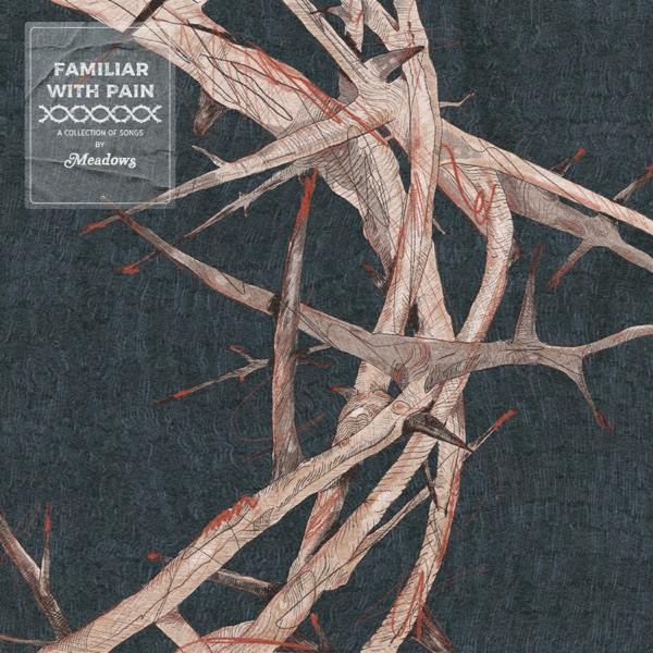 Meadows (9) - Familiar With Pain