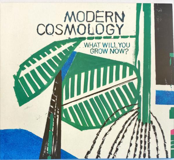 Modern Cosmology - What Will You Grow Now?
