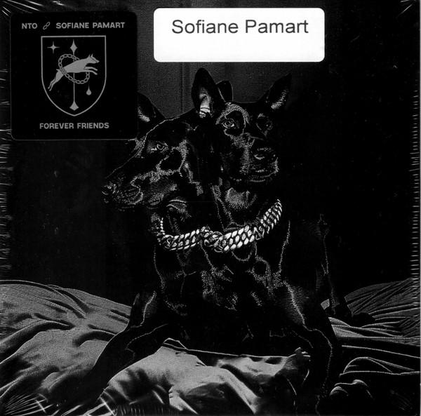 N'to, Sofiane Pamart - Forever Friends 