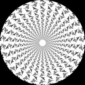 Nima Gorji, Enzo Siragusa - Foreal EP