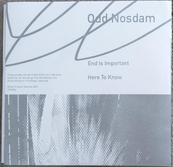 Odd Nosdam - End Is Important