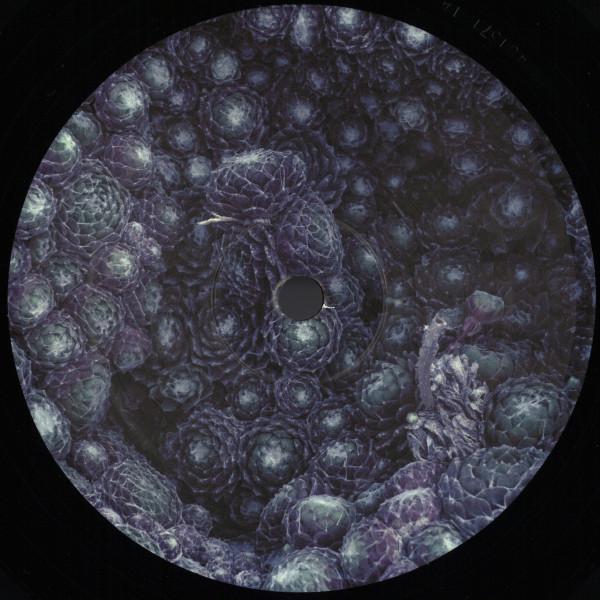 Orbe (3) - Incremental