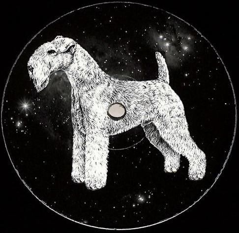 Paul Walter (3) - DM For House